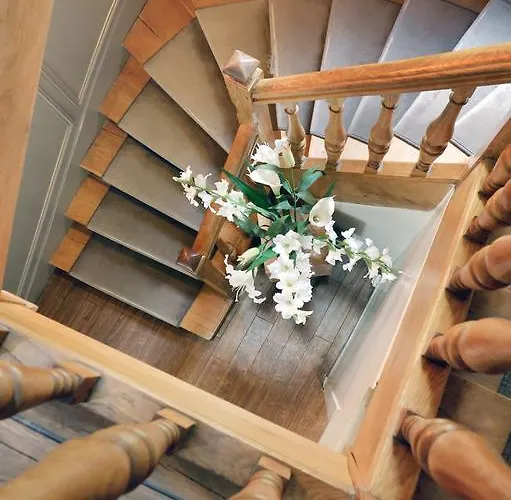 Douglas 호텔 쀼또